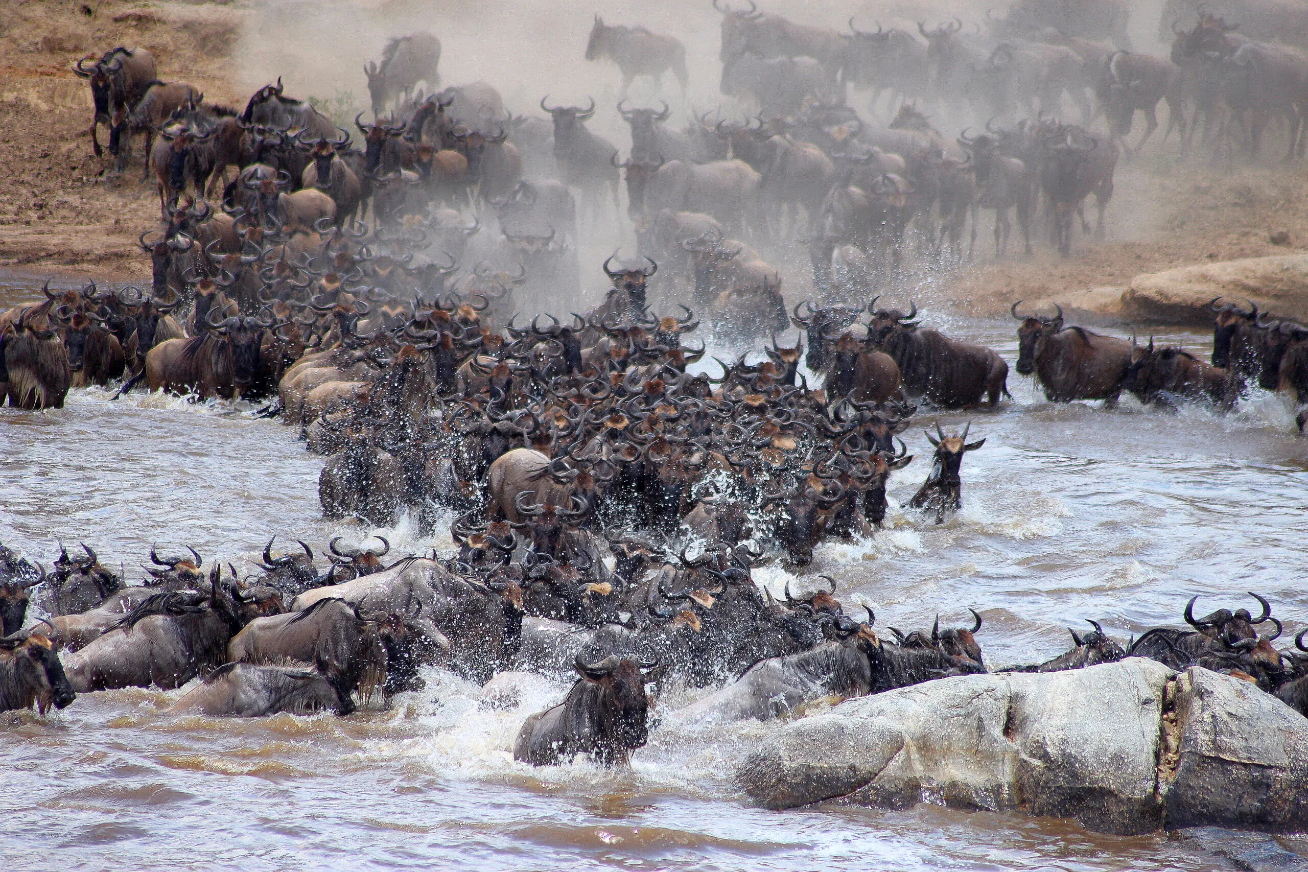 Maasai Mara Great Migration Safari